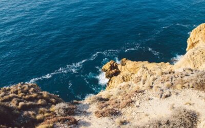 Small water resources and their importance for the environment